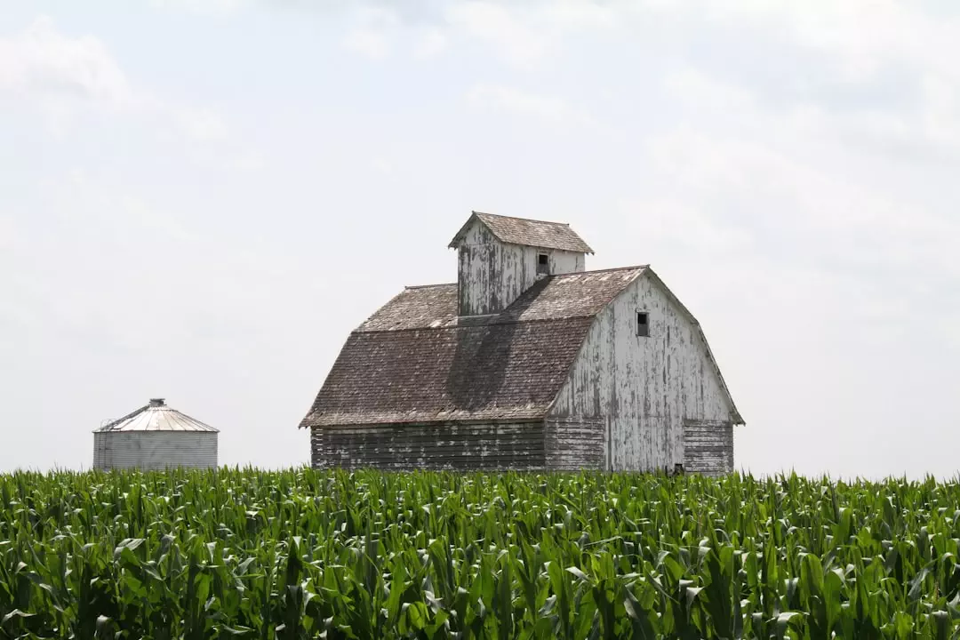 2 Bedroom Barndominium Plans: Cozy and Functional Designs